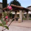 Отель Il Cortile delle Rose, фото 7