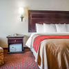 Отель Quality Inn & Suites, фото 4