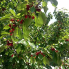Отель Douro Balcony, фото 14