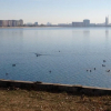 Отель Marvelous 4 Room Penthouse W14-W15, фото 15