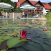Отель & Gasthof Zur Linde, фото 12