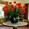 Отель Gladiola Guest House, фото 2