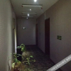 Отель Zhenping Nanyang Super 8 Hotel, фото 11