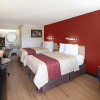 Отель Red Roof Inn Cincinnati Northeast - Blue Ash, фото 2