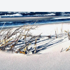 Отель Willa Cove, фото 37