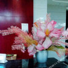 Отель Hukou Holiday Hotel, фото 4
