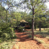 Отель Iphofolo Lodge & Tented Camp, фото 17
