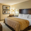 Отель Comfort Inn Bloomington, фото 5