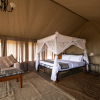 Отель Serengeti Woodlands Camp, фото 6