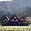 Отель Shirakawa-go Hostel 白川郷ホステル, фото 28