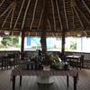 Отель Vanuatu Holiday Hotel, фото 15