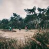 Отель Comfortable Bungalow With Whirlpool Near the Vrachelse Heide, фото 7