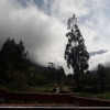 Отель Sadhana Sacred Valley, фото 18