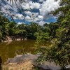 Отель Uravu Bamboo Grove, фото 13