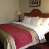 Отель Comfort Inn, фото 3