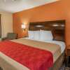 Отель Econo Lodge & Suites Granite City, фото 46