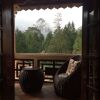 Отель Sapa Garden Bed and Breakfast, фото 7