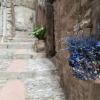 Отель Charming Castles B&B in Dolceacqua, фото 10