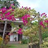 Отель Domaine Desaubin Luxury Villas на Острове Маэ