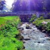 Отель Auberge du Lilsbach, фото 18