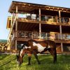 Отель Myra Canyon Lodge + Ranch, фото 25