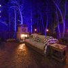 Отель Electric Forest Cabin And Teepee! Lights & Laser Show! Private Hot Tub! Unique Stay!, фото 3