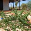 Отель Ningaloo Bed and Breakfast, фото 12