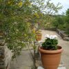 Отель Rural Farmhouse in Valencia de AlcÃntara with Pool, фото 4