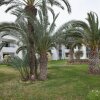 Отель Club Palm Azur Djerba, фото 47