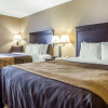 Отель Comfort Inn & Suites near Tinley Park Amphitheater, фото 5