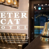 Отель Petercat Hotel Insadong, фото 14