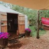 Отель Plush Tents Glamping в Чичестере