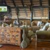 Отель African Spirit Game Lodge, фото 14