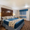 Отель Rodeway Inn, фото 21