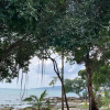Отель Starfish Bungalows, фото 15