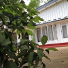 Отель Travel Lodge Tourist Resort, фото 9