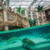 Отель Gaylord Palms Resort & Convention Center, фото 35