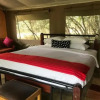 Отель Jackleberry Safaris, фото 10