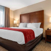 Отель Comfort Inn & Suites South Hill I-85, фото 28