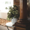 Отель Cedar House, фото 7