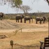 Отель Tangala Safari Camp, фото 24