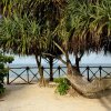 Отель Ocean Paradise Resort & Spa Zanzibar, фото 22