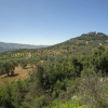Отель Ajloun Hotel, фото 6