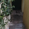 Отель Casa Gaby, фото 13