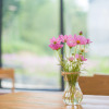 Отель Floral Hotel Green Bamboo(Yunshang Grassland Dazhuhai), фото 15