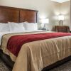 Отель Comfort Inn and Suites, фото 3