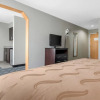 Отель Quality Inn & Suites Brownsburg - Indianapolis West, фото 4