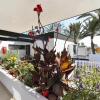 Отель Maspalomas Beach Apartment Charca 1, фото 6