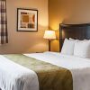 Отель Quality Inn & Suites Pacific - Auburn, фото 50