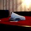 Отель Guest house Evdoshvili St N5, фото 28